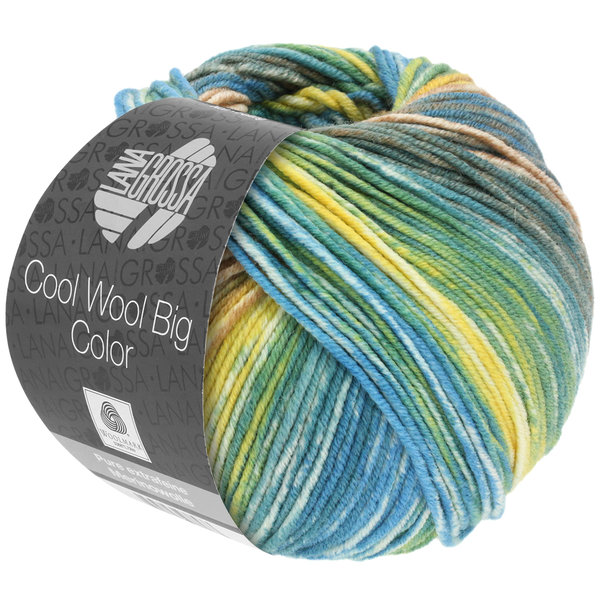 Lana Grossa Cool Wool Big Color - kleur 4020
